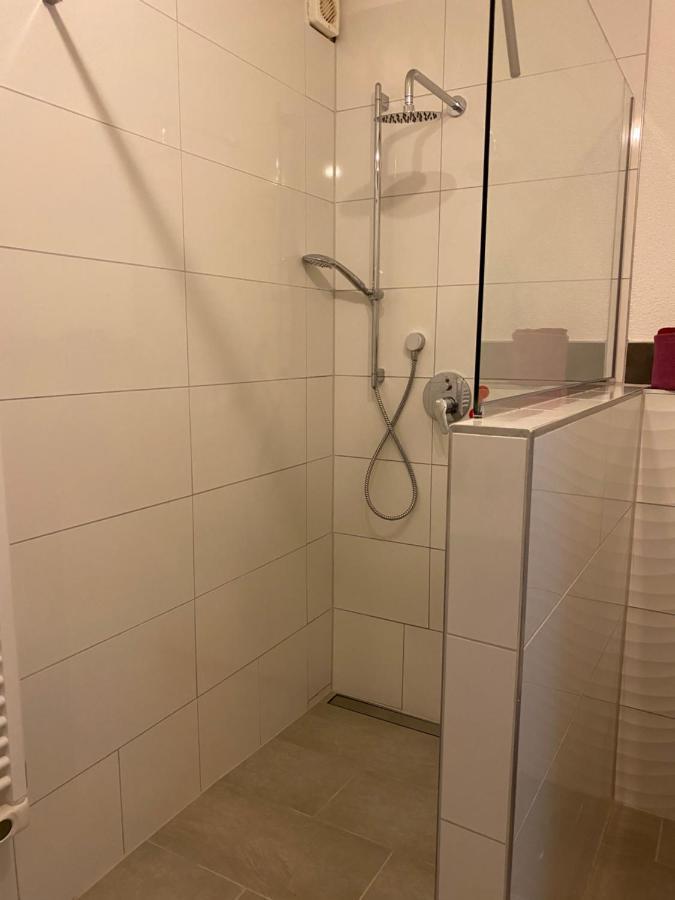 Fewo Dana Apartment Neckarsteinach Bagian luar foto
