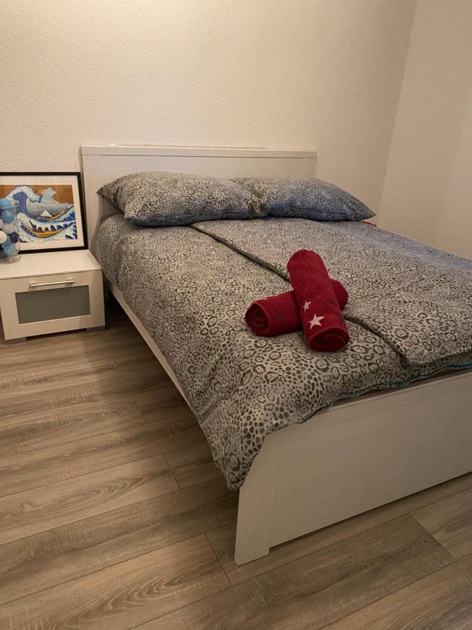 Fewo Dana Apartment Neckarsteinach Bagian luar foto