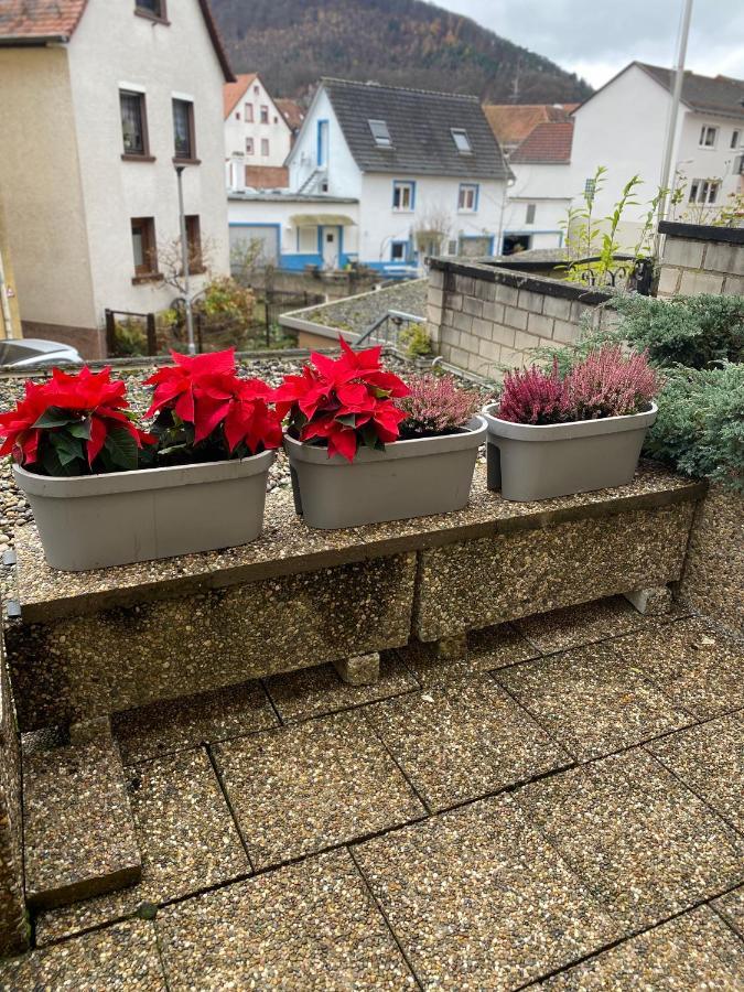 Fewo Dana Apartment Neckarsteinach Bagian luar foto