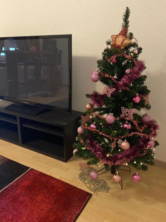 Fewo Dana Apartment Neckarsteinach Bagian luar foto